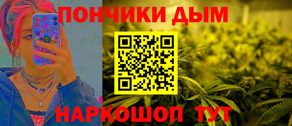 Коряжма  Бошки марихуана семена  Вход с VPN  МАРИХУАНА VHQ 